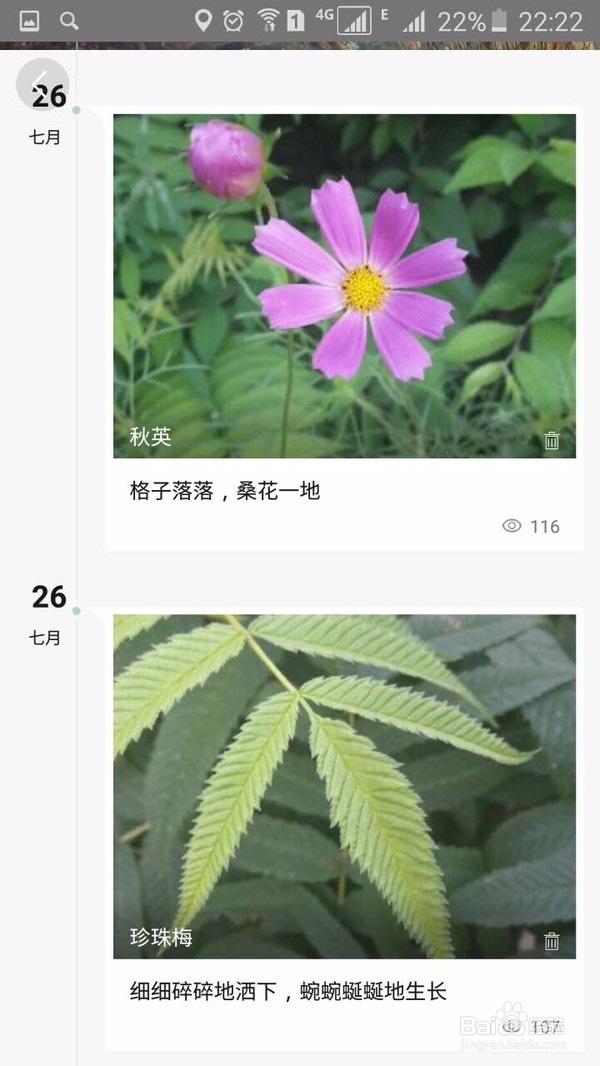 有没有识别植物的APP软件