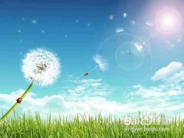 青春期遇到感情问题怎么办