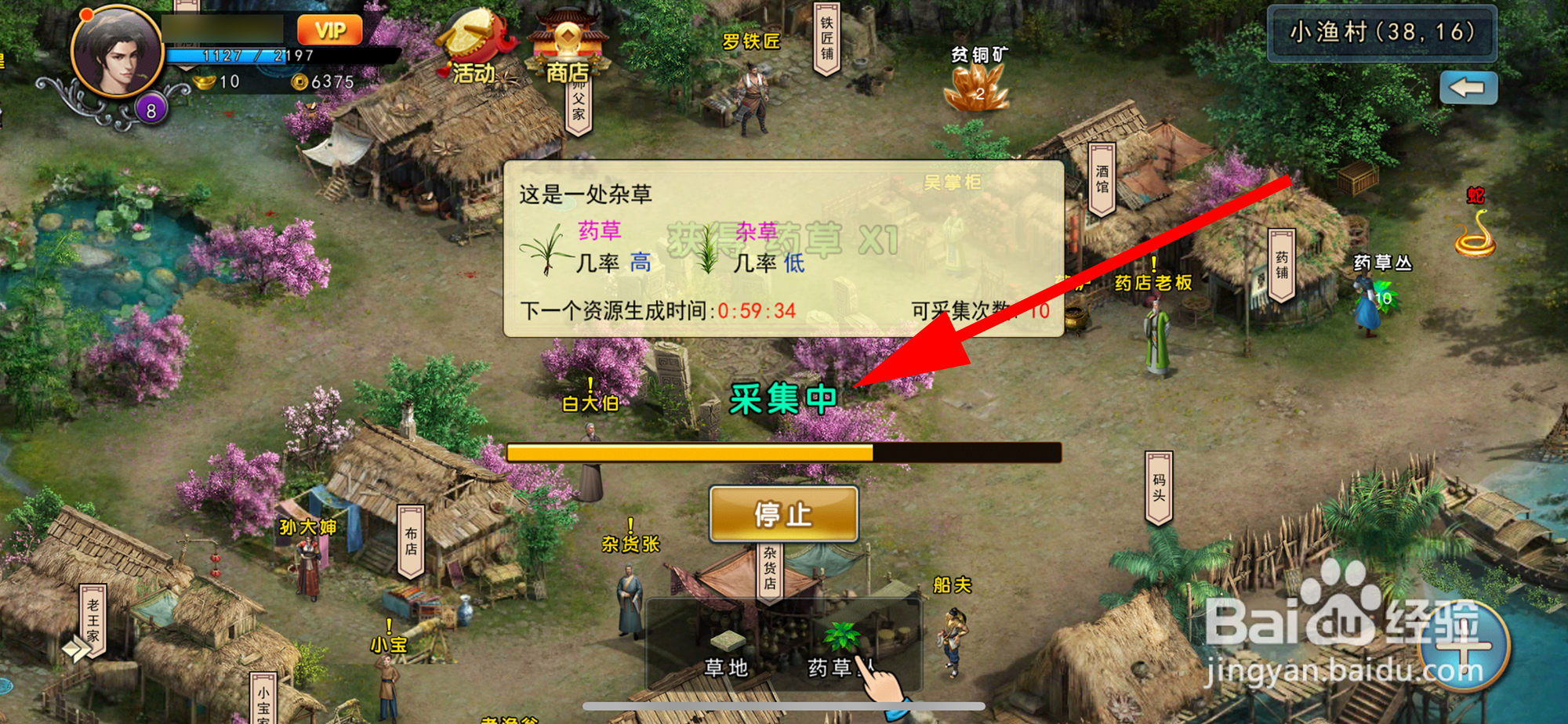 濡沫江湖如何采集药草