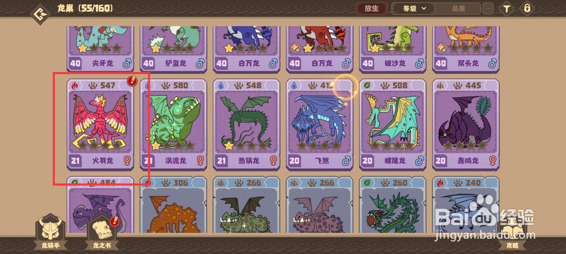 驯龙高手旅程怎么升级火羽龙