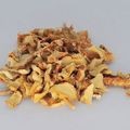 脑血栓中药处方（1）