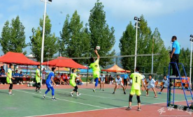 排球运动的特点