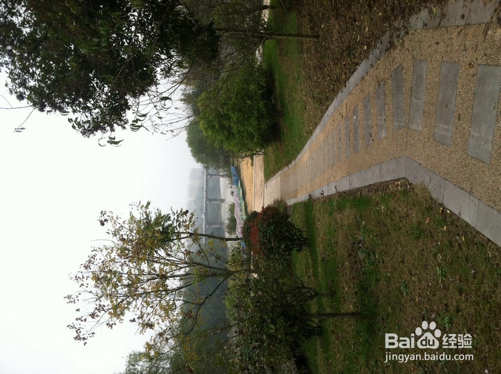 如何在冬季进行早锻炼，让心情愉悦