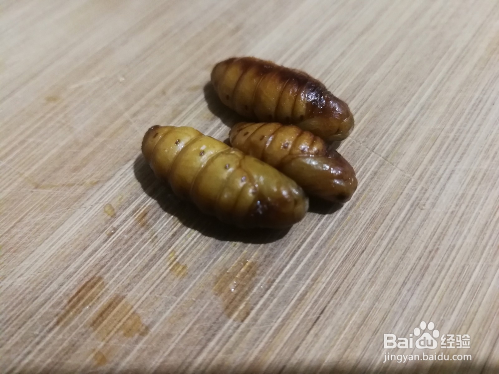蜂蛹的功效与作用