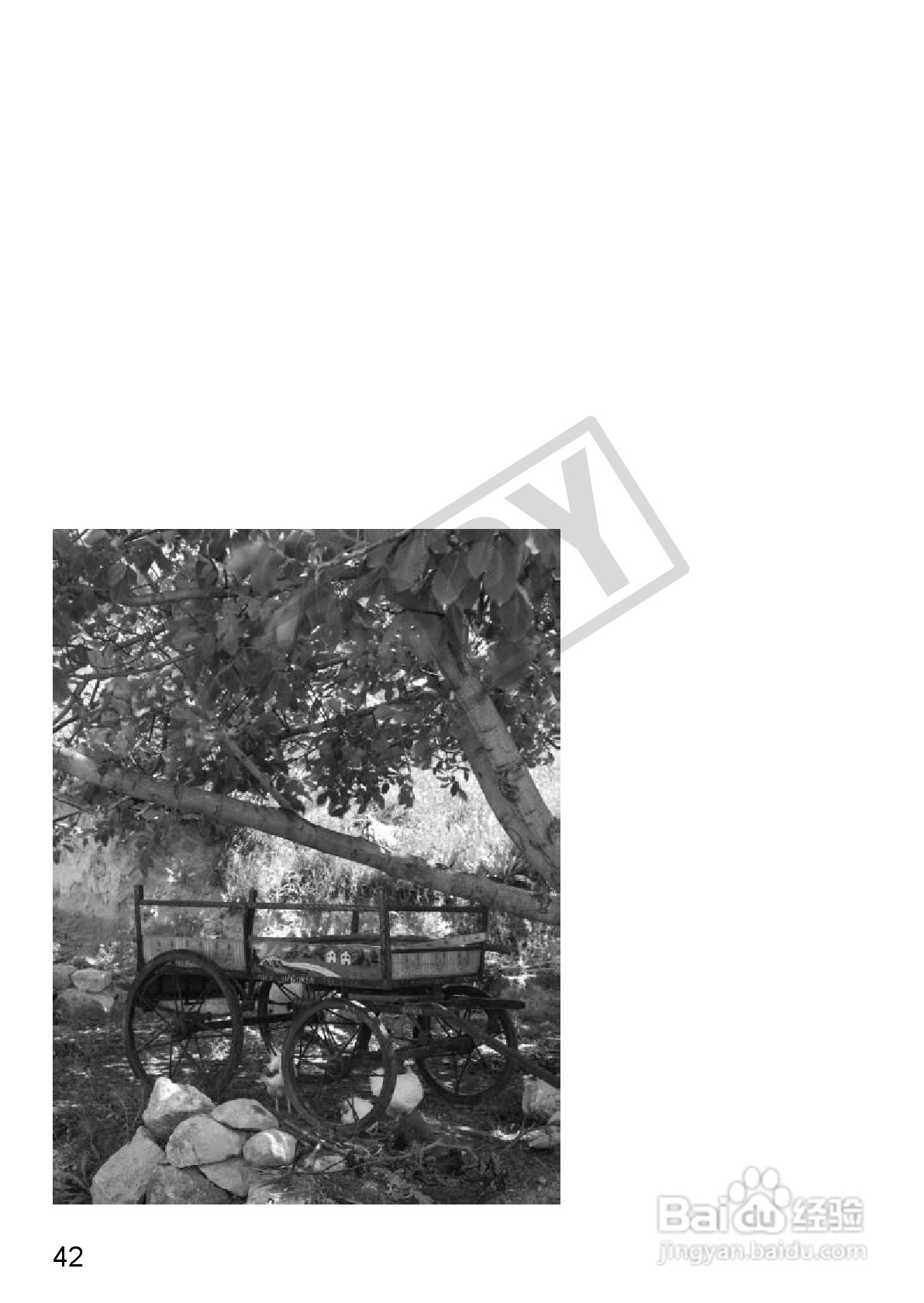 佳能PowerShot SX30 IS数码相机使用说明书:[5]