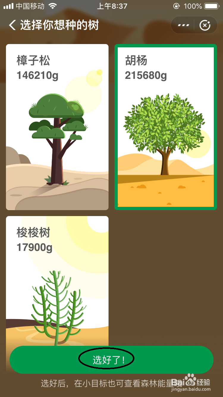 支付宝的小目标每天来种树怎么玩