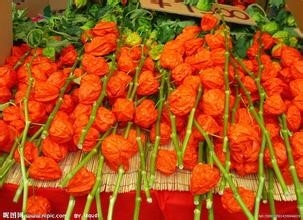 上火嗓子疼，不吃药怎么才能好得快