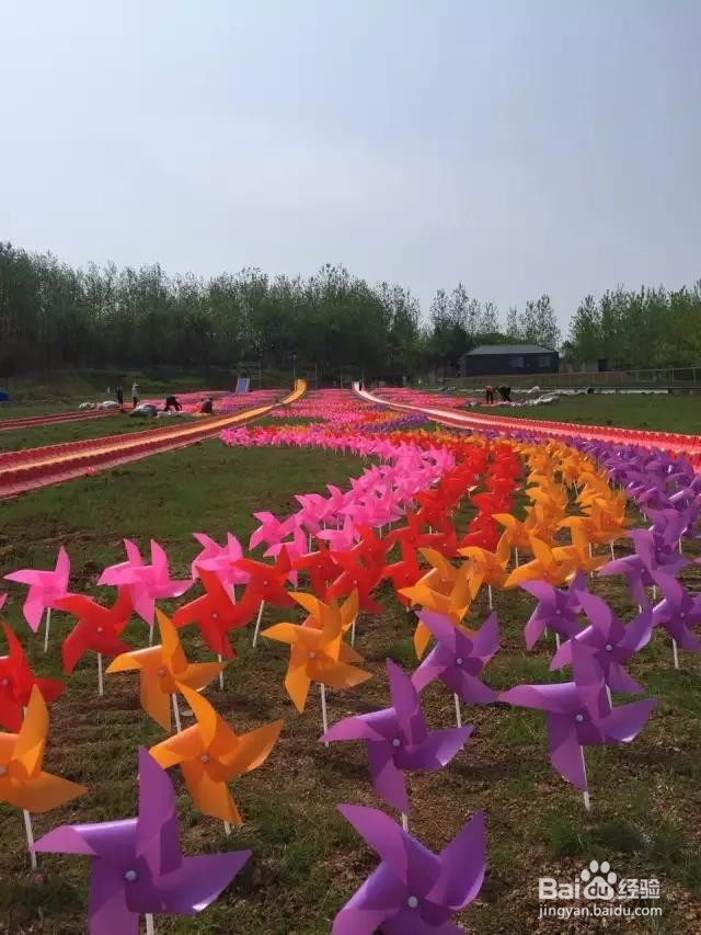 扬州周边哪里有玩漂流,滑草,高空滑索的