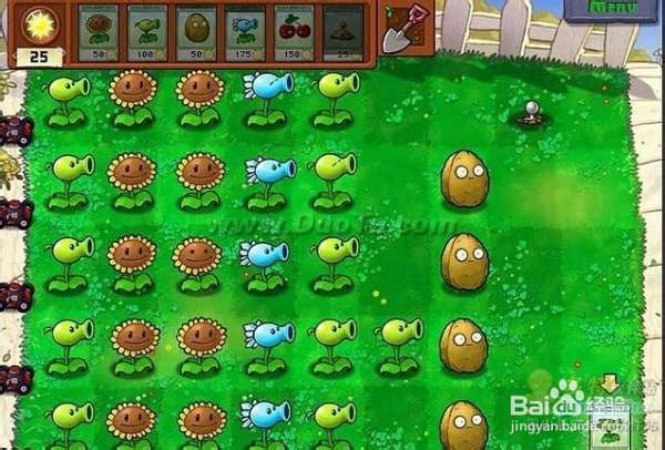 《植物大战僵尸》第一大关详细流程攻略