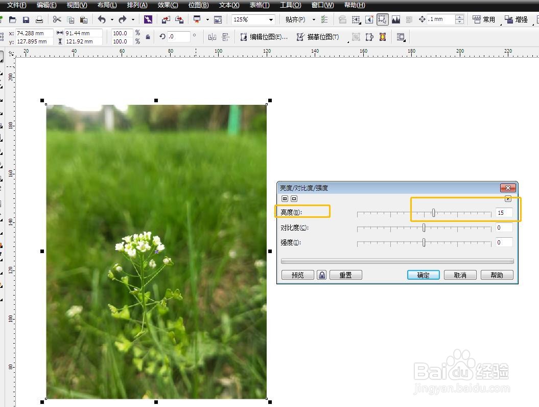 cdr里面如何将图片颜色调亮