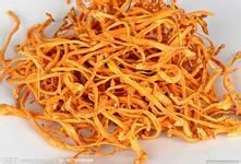 无花果虫草排骨汤的做法