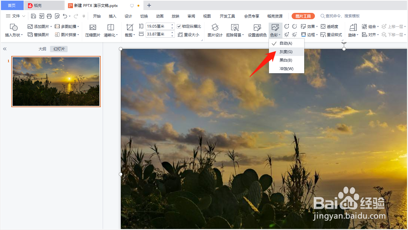 WPS演示文稿如何将彩色图片去色