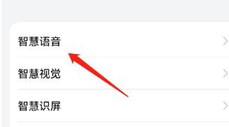 智慧语音中的驾驶场景功能怎么开启新手引导