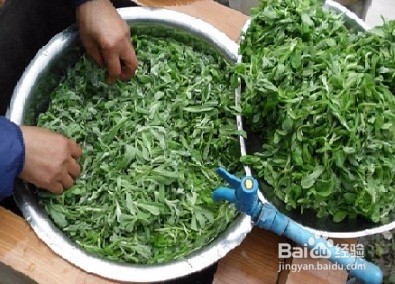 艾草粑粑的做法