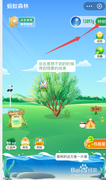 支付宝蚂蚁森林的树怎么变成其他树