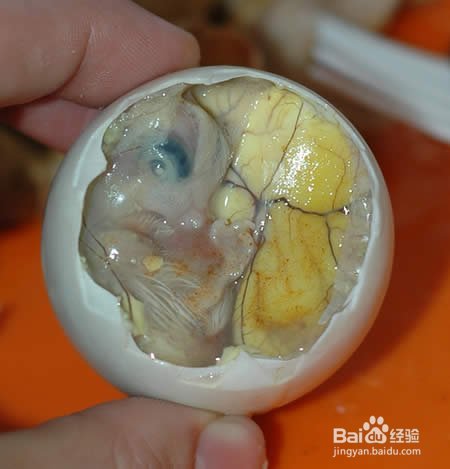 盘点世界十大最奇特的小吃