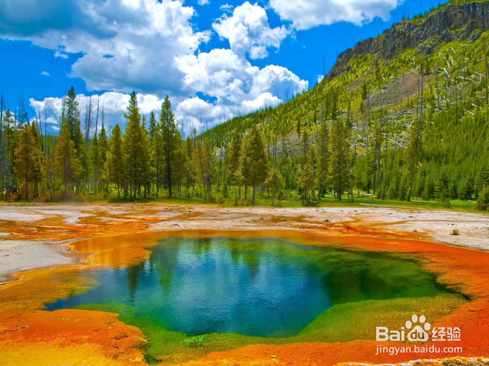 黄石公园在美国的哪个州