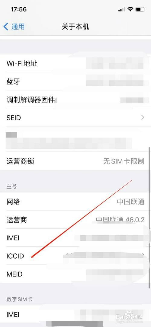 苹果11手机ICCID码在哪看