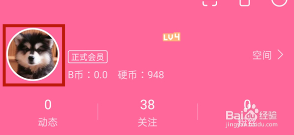 bilibili在哪查看点赞视频