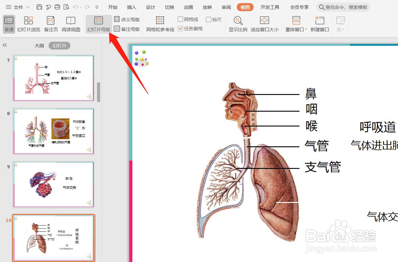 ppt怎么加图片水印?
