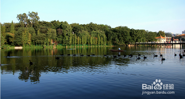 广州有哪些免费的地方可以玩