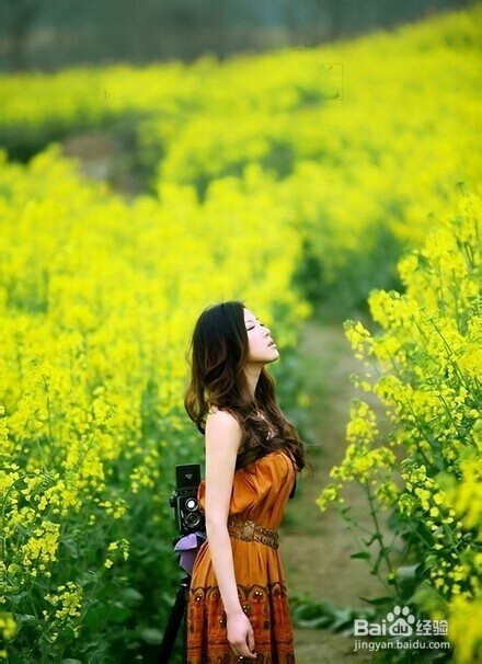 如何在野外竞技场里表现出色