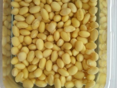 懒人黄豆炖猪蹄