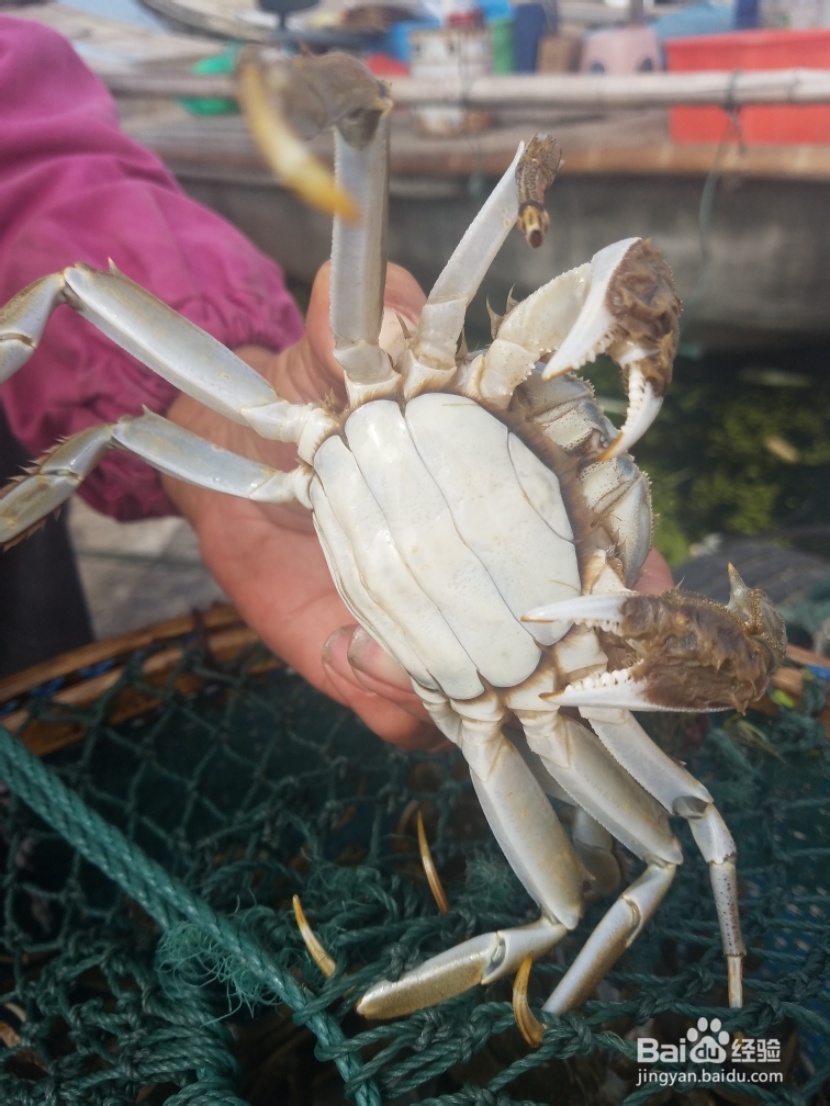 简单无压力做大闸蟹法