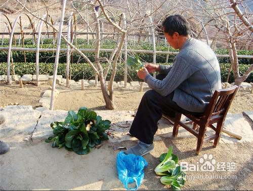 冬季，怎样在合理的时间段合理养生？