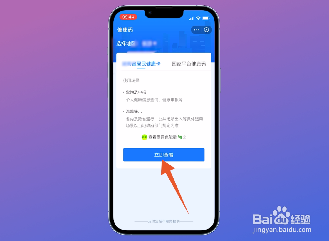 手机怎么查询核酸次数