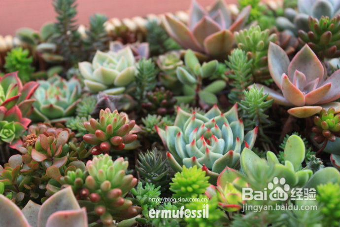 2012年6月23日 记录