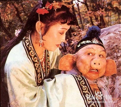 张家界住宿网站