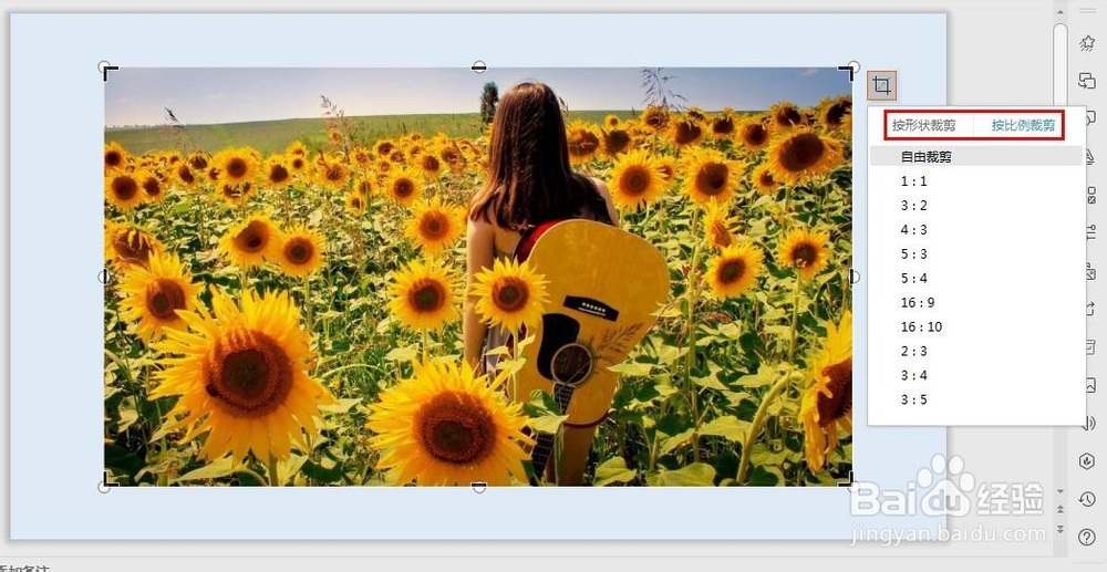 ppt中怎么裁剪图片