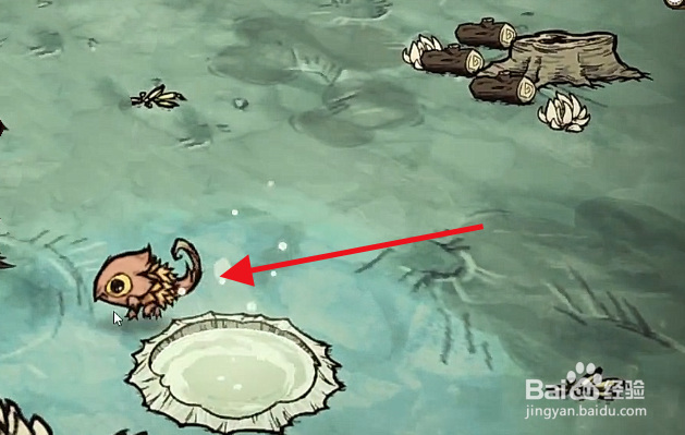 饥荒如何获得火龙果