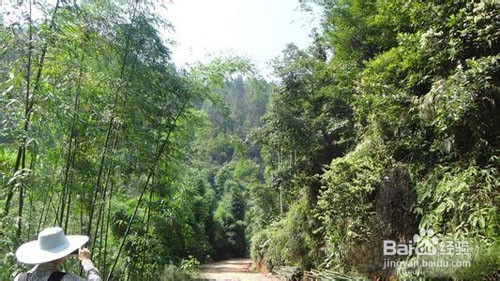 反复遗精怎么办