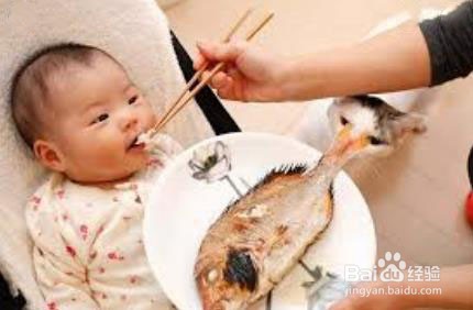 7个月宝宝怎么吃海鲜