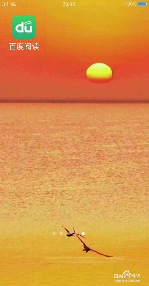 百度阅读中如何启用私密阅读？