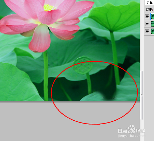 Ps如何轻松去水印