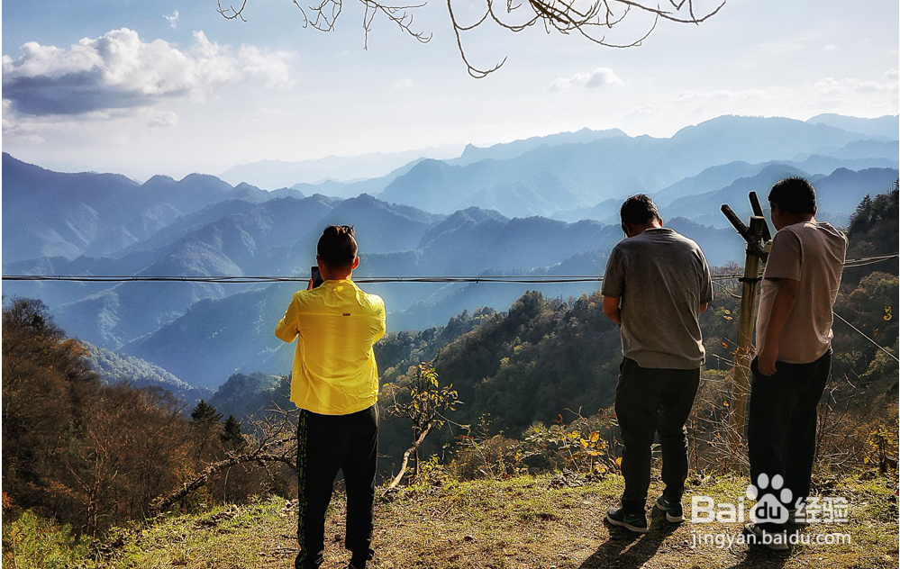 秦岭一半的美都在这里,11月这里堪称最美公路。