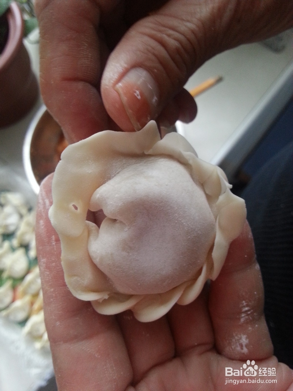 宝宝美食之花样饺子