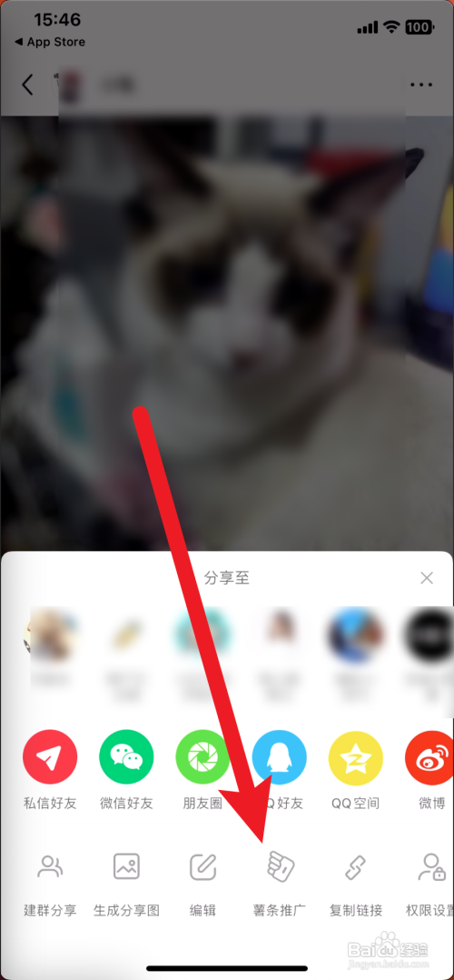 小红书怎么进行推广