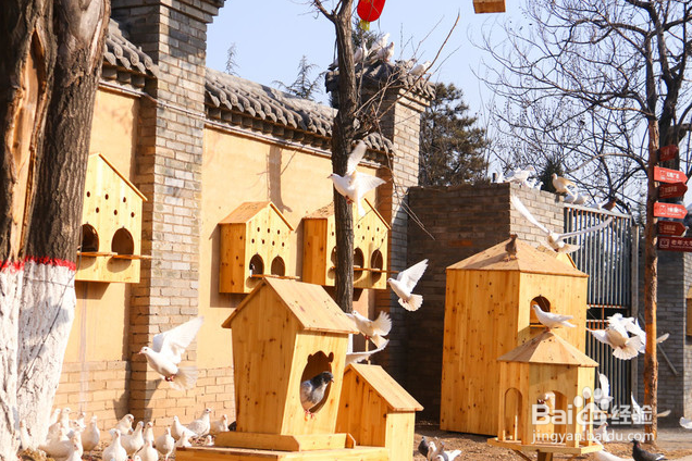 司徒小镇 2日游怎么安排