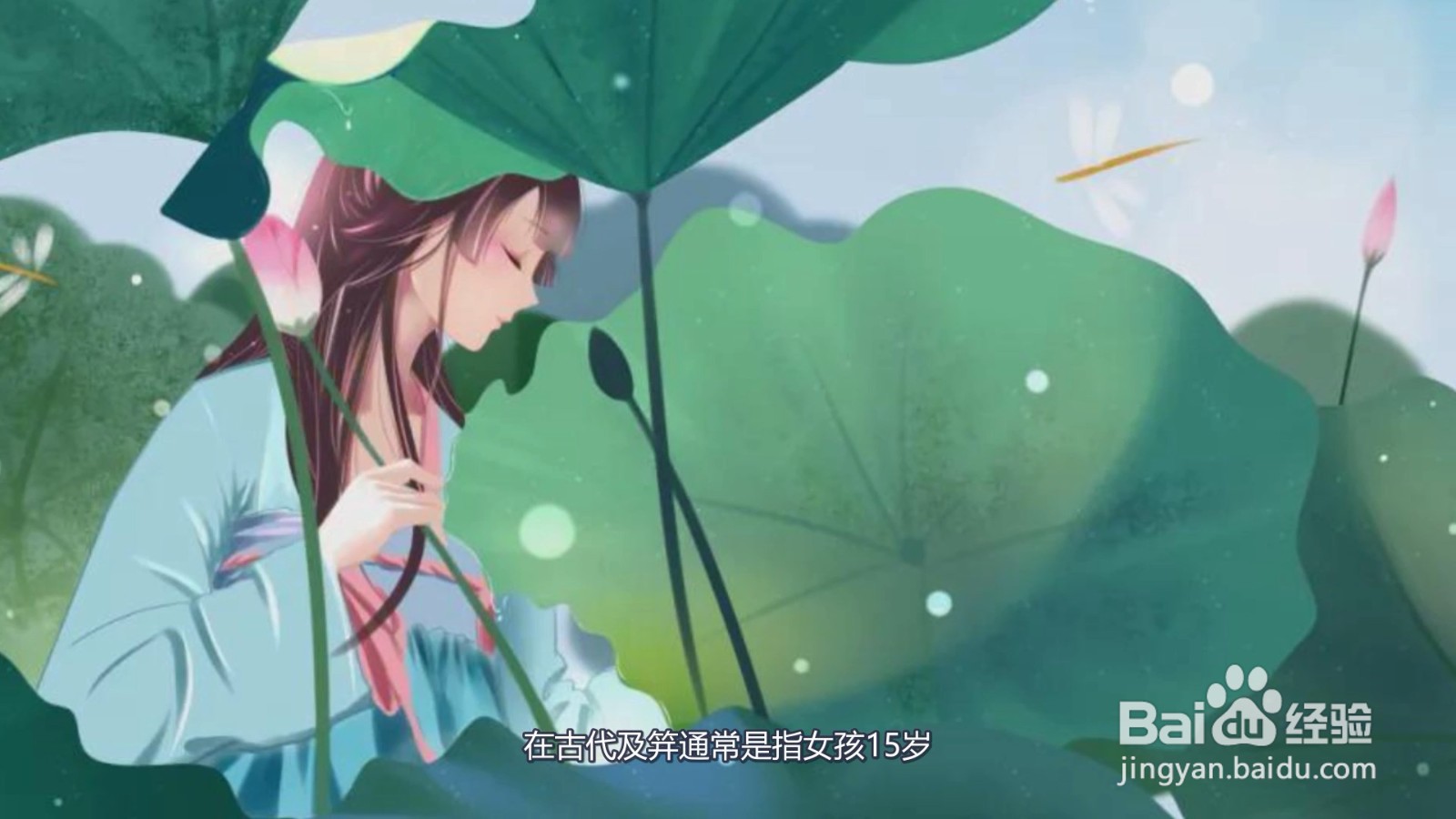豆蔻是多少岁