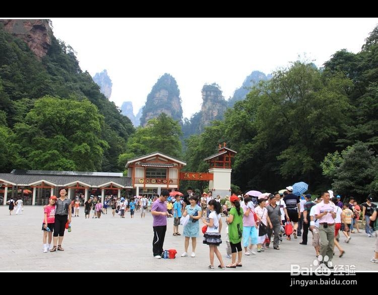 张家界旅游费用