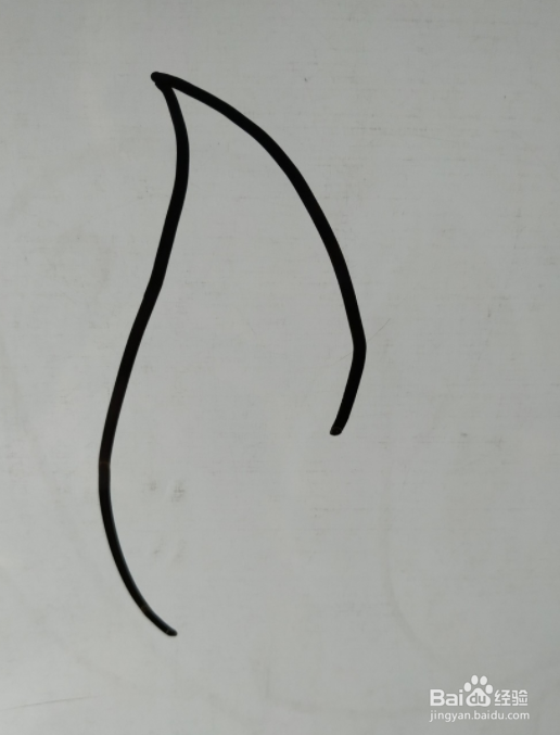 如何画海狮的儿童画？