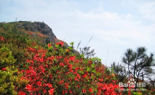 同安云顶山攻略