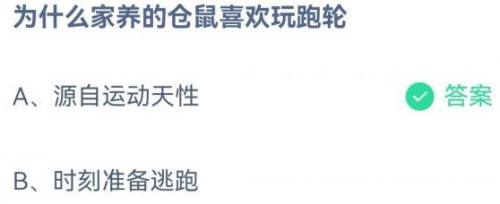 为什么家养的仓鼠喜欢玩跑轮蚂蚁庄园