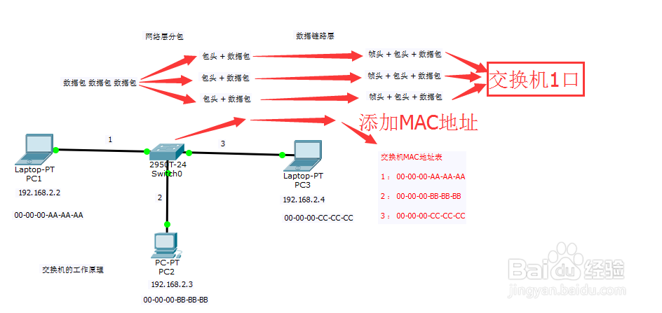 #交换机#-交换机的工作原理从这几点理解