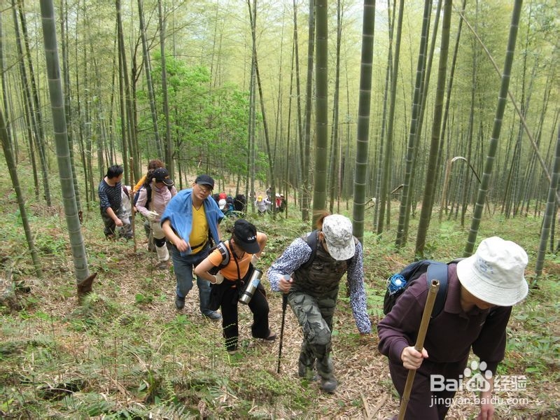 张家界旅游注意事项（强劲推荐版）