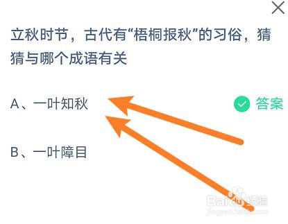立秋时梧桐报秋的习俗与哪个成语有关8月8日